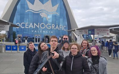 Erasmus+ Szakmai Gyakorlat Valenciában 🌍
